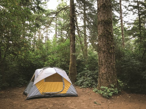 camping tent in forest